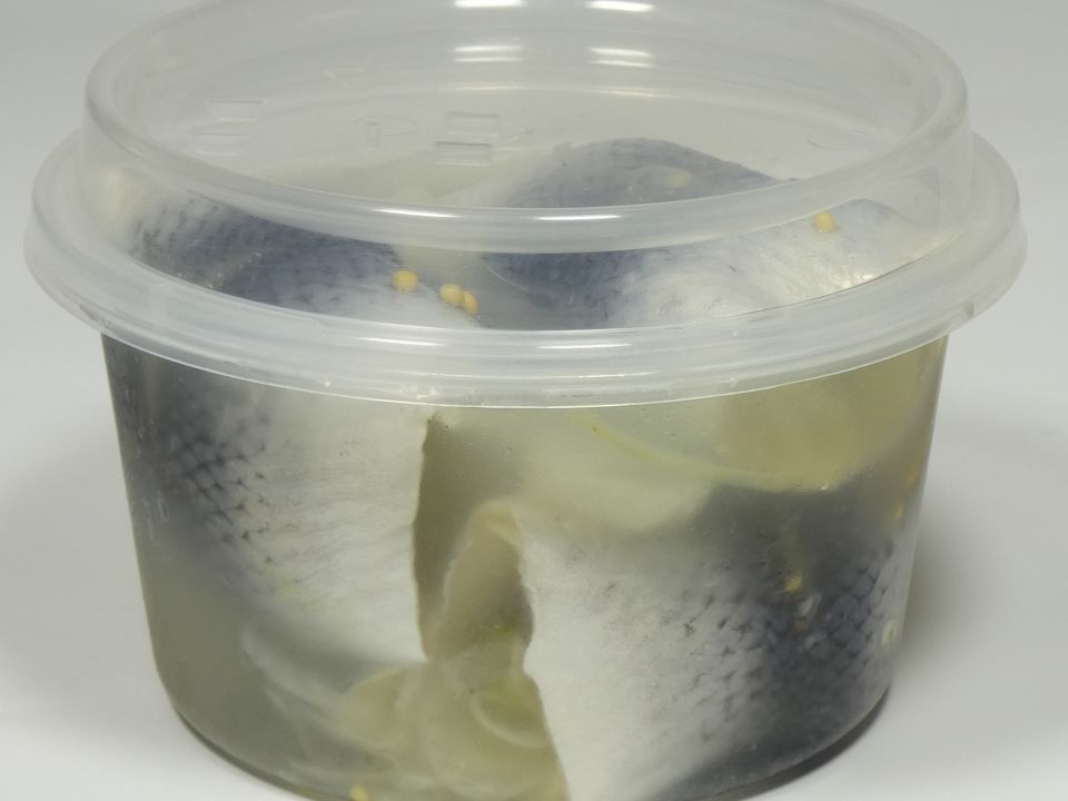 Rollmops #4